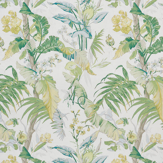 Tropique | Citron