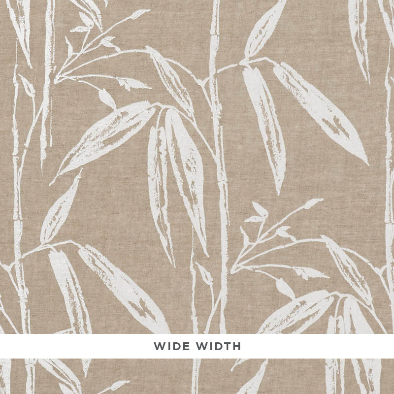 Bamboo garden | Natural