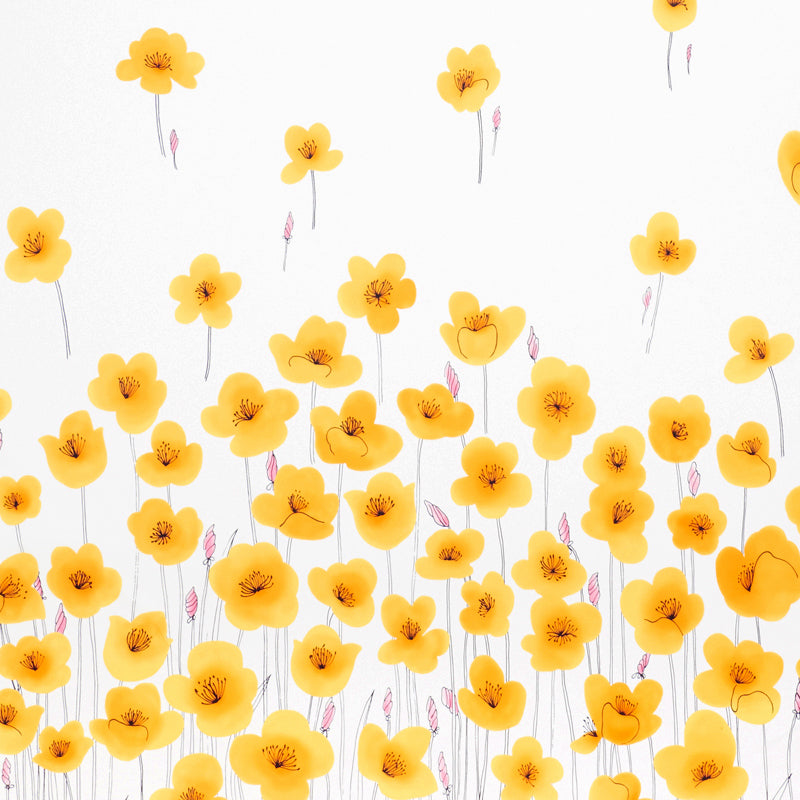 Wild poppies | Orange