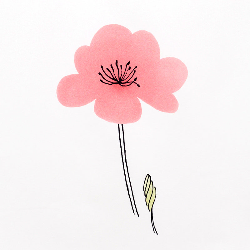 Wild poppies | Pink