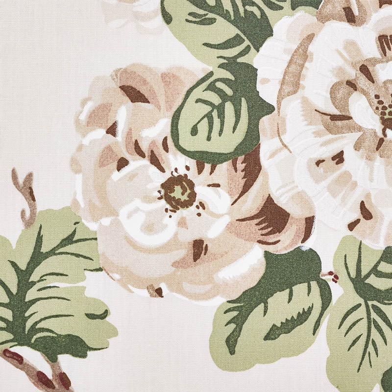 Betty chintz | Quiet pink