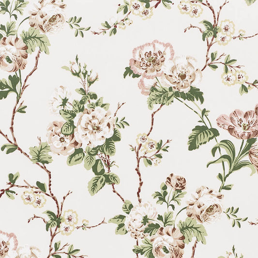 Betty chintz | Quiet pink