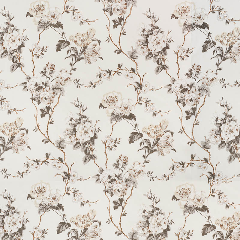 Betty chintz | Charcoal