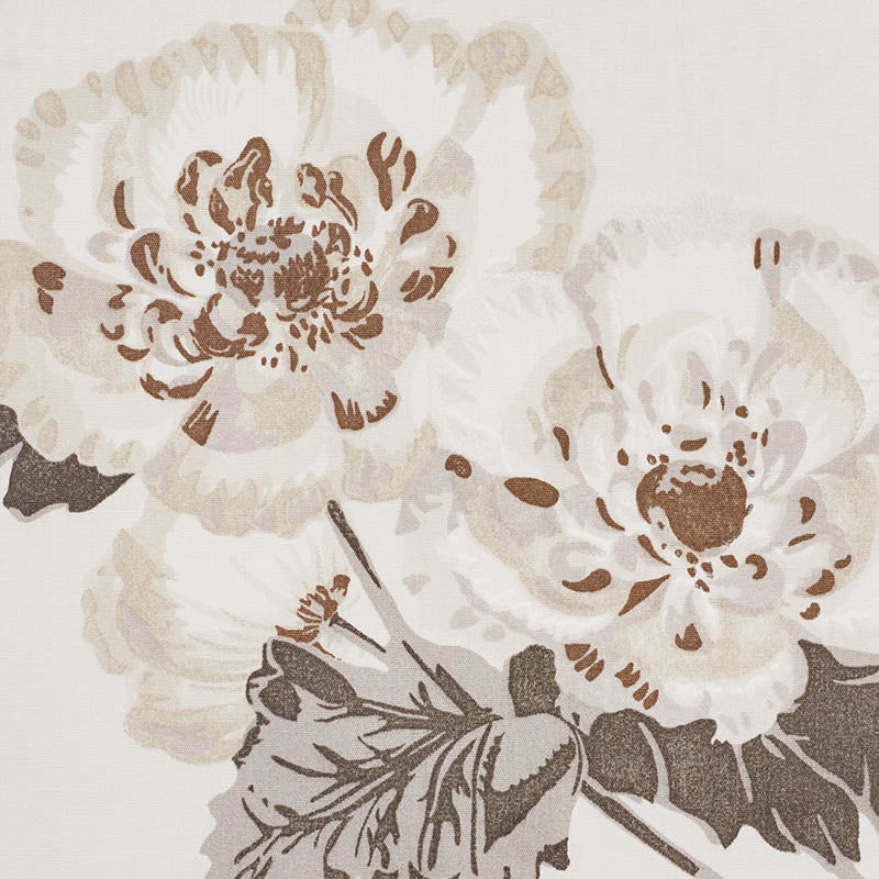Betty chintz | Charcoal