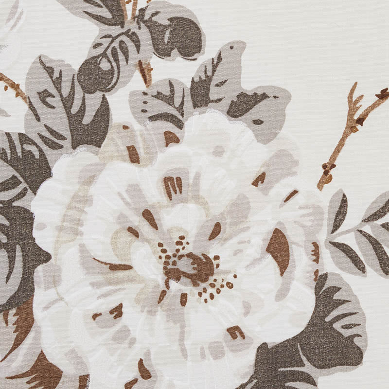 Betty chintz | Charcoal
