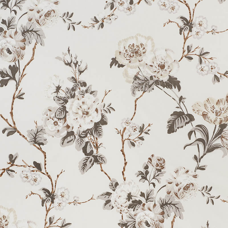Betty chintz | Charcoal