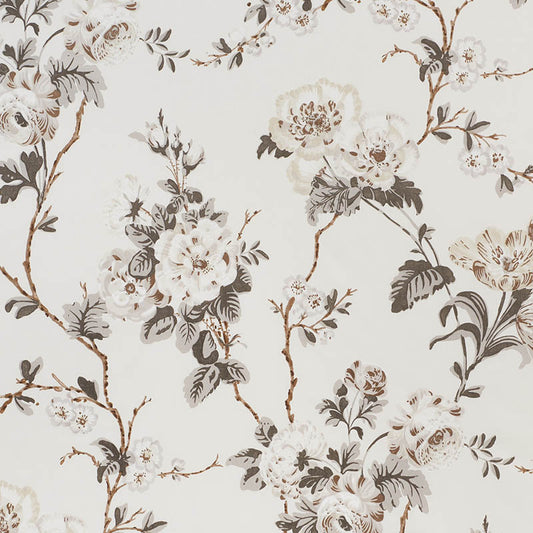 Betty chintz | Charcoal