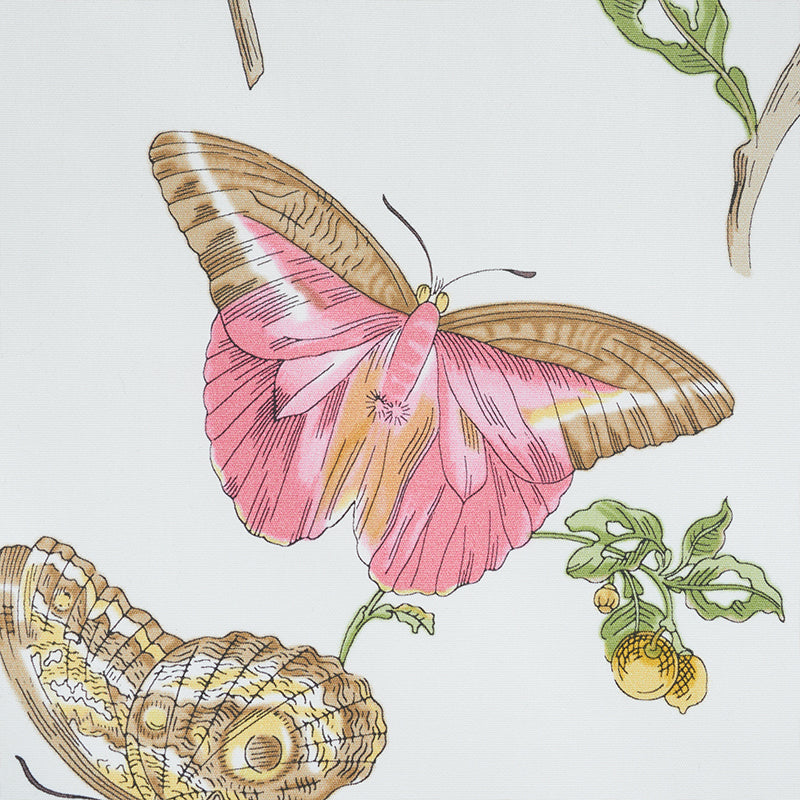 Baudin butterfly chintz | Blush