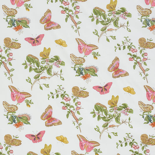 Baudin butterfly chintz | Blush