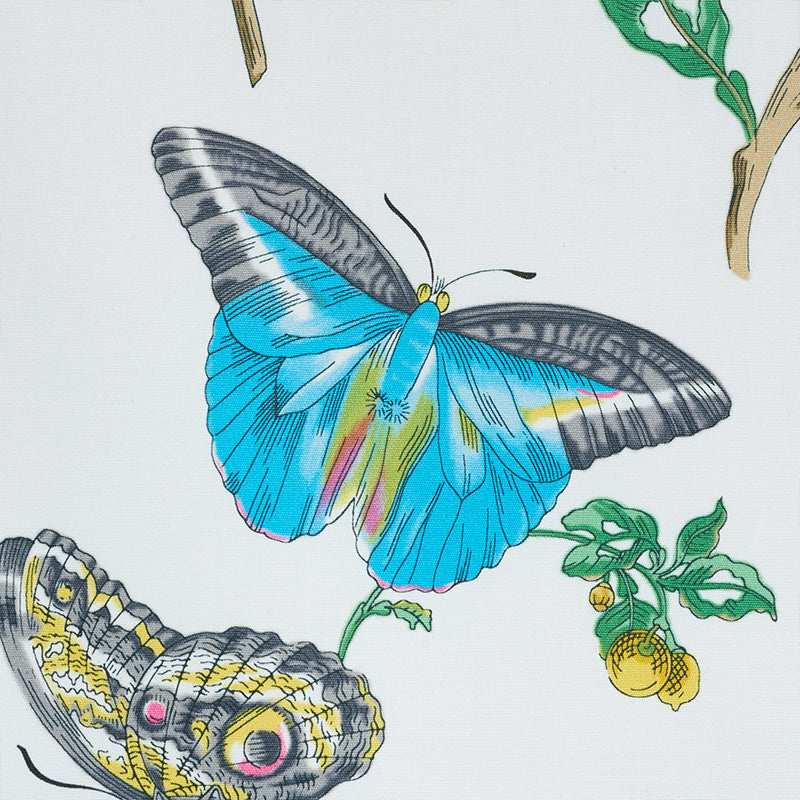 Baudin butterfly chintz | Turquoise