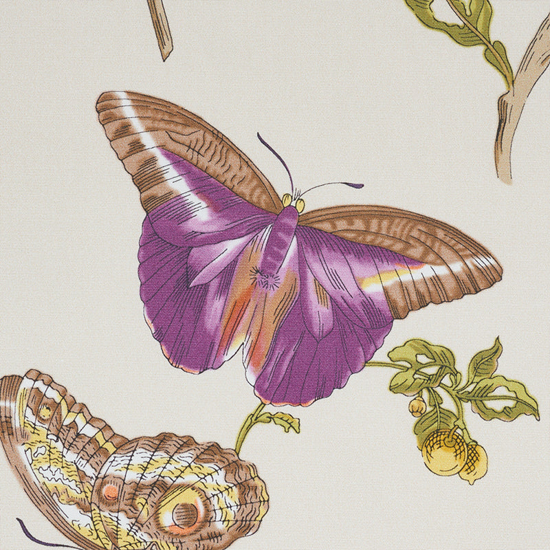 Baudin butterfly chintz | Purple