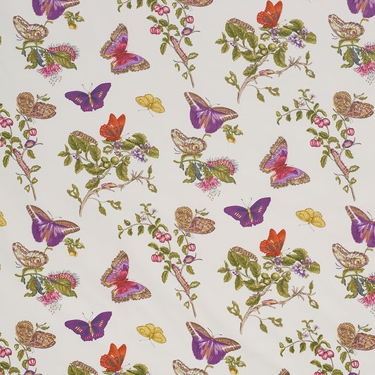 Baudin butterfly chintz | Purple