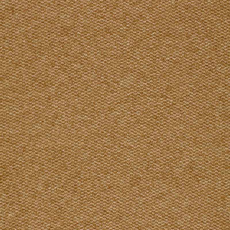Tweedy | Vicuna