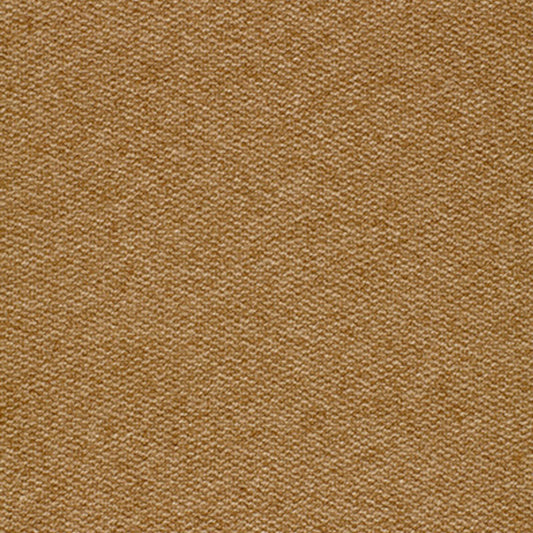 Tweedy | Vicuna