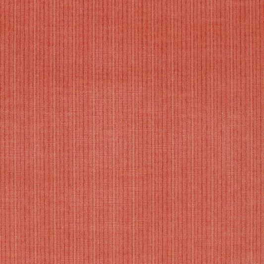 Antique strie velvet | Coral