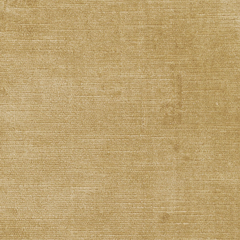 Antique linen velvet | Champagne