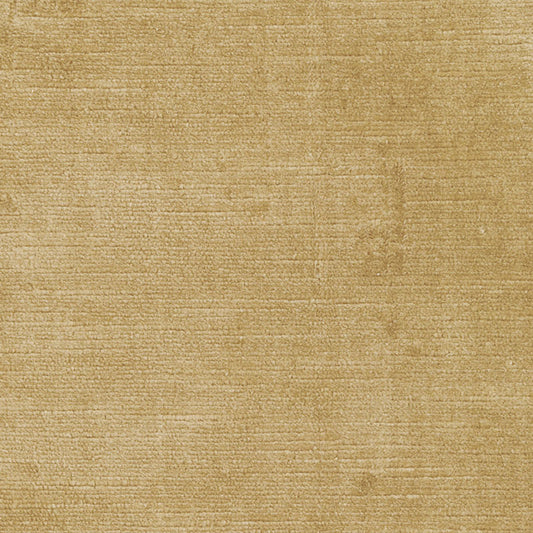 Antique linen velvet | Champagne