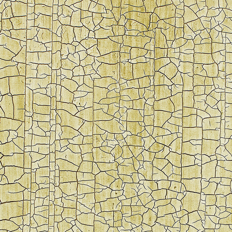 Masaccio ground | Celadon