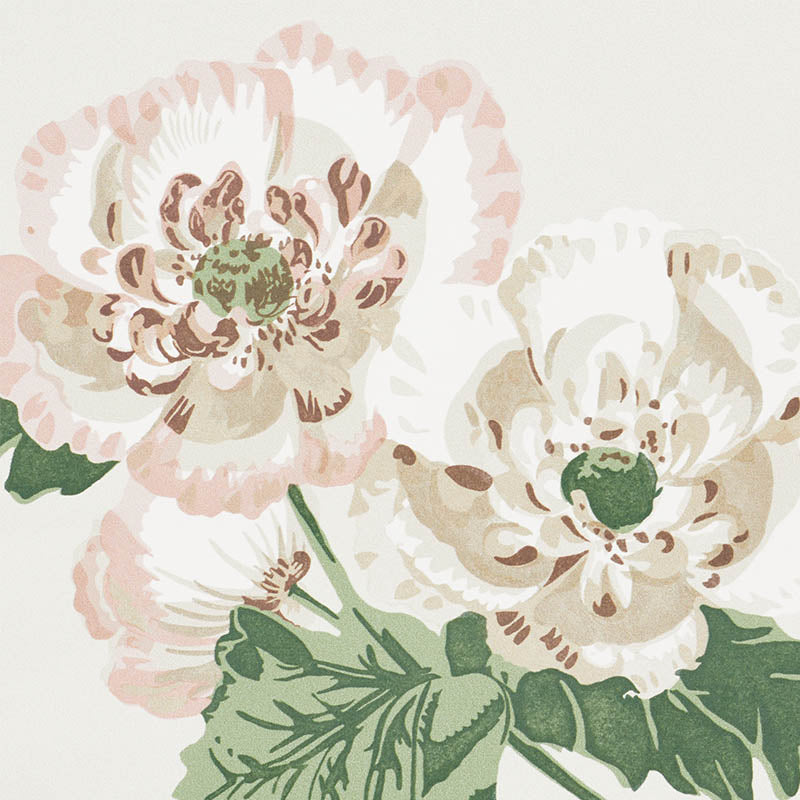 Betty | Quiet pink