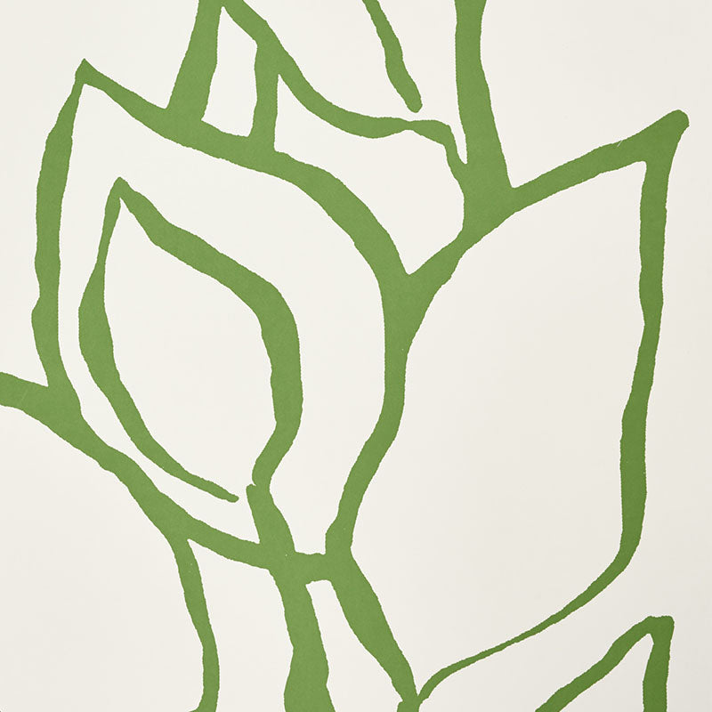 Solandra vine | Leaf