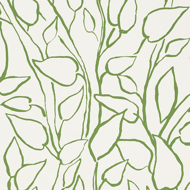Solandra vine | Leaf