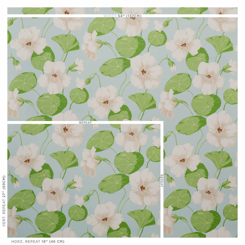 Nasturtium | Sky