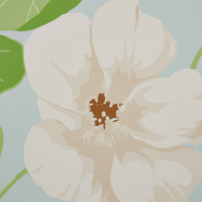 Nasturtium | Sky