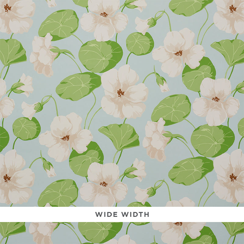 Nasturtium | Sky