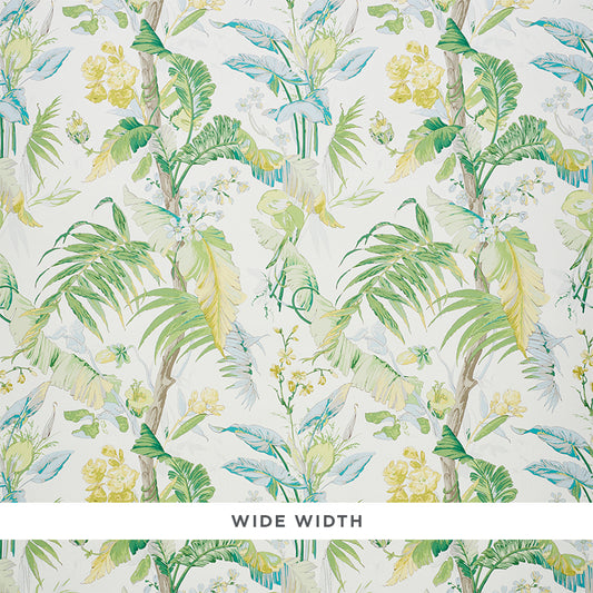 Tropique | Citron