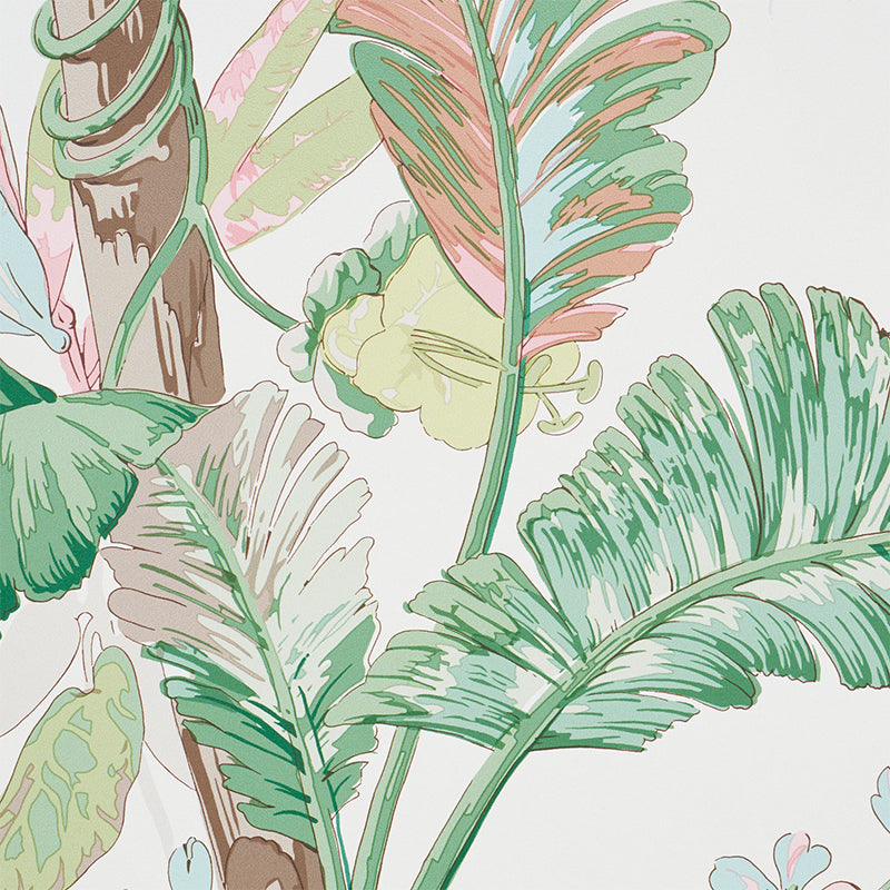 Tropique | Blush