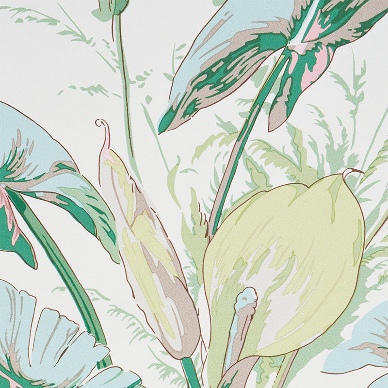 Tropique | Blush