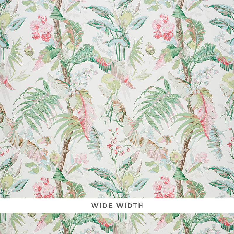 Tropique | Blush