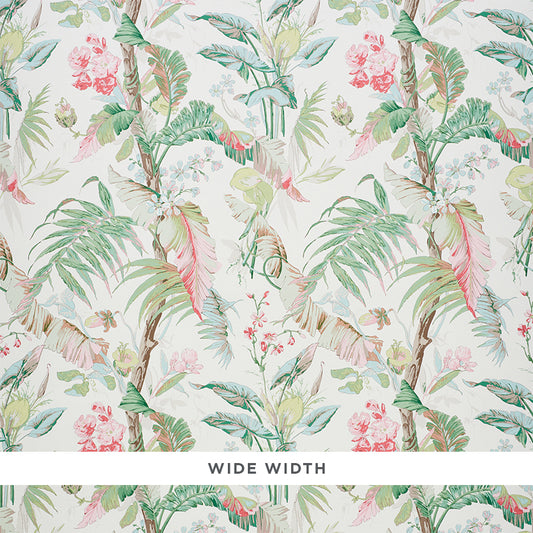Tropique | Blush
