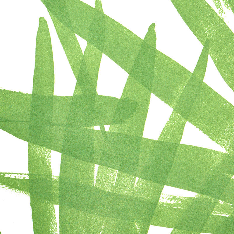 Sunlit palm | Green