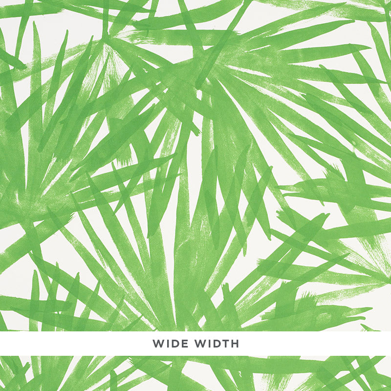 Sunlit palm | Green
