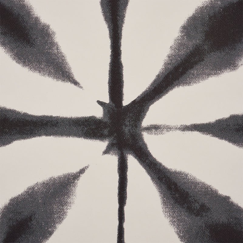 Andromeda | Charcoal