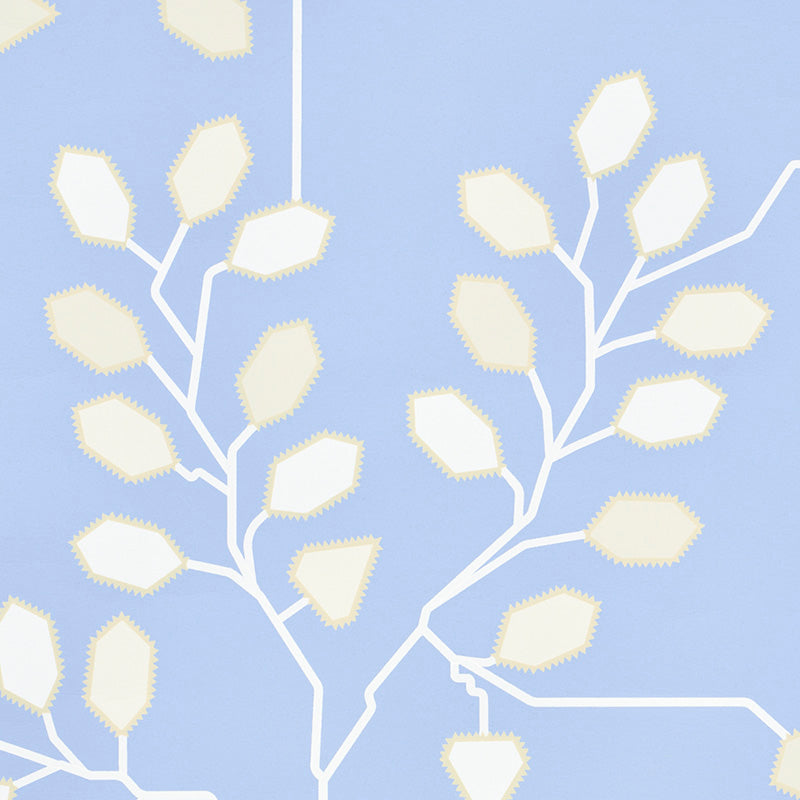 Tumble weed | Bluebell