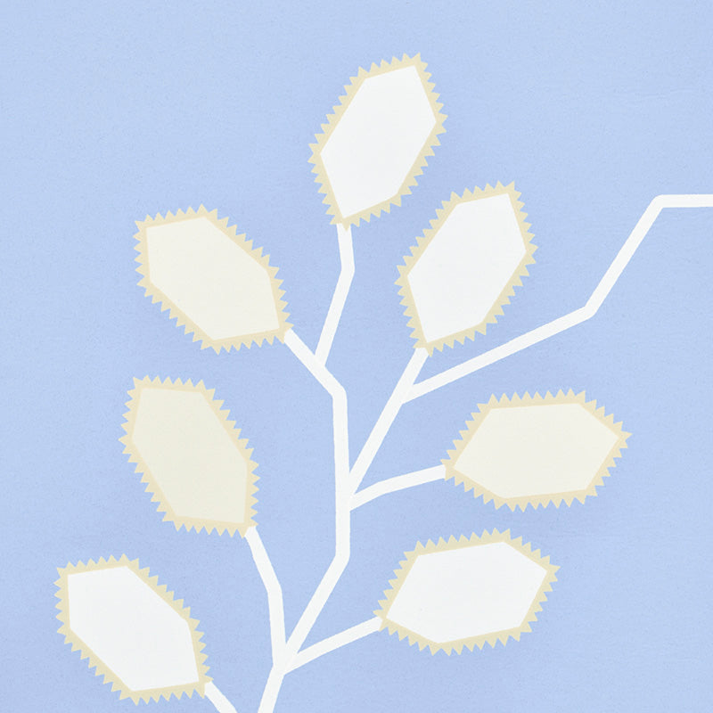 Tumble weed | Bluebell