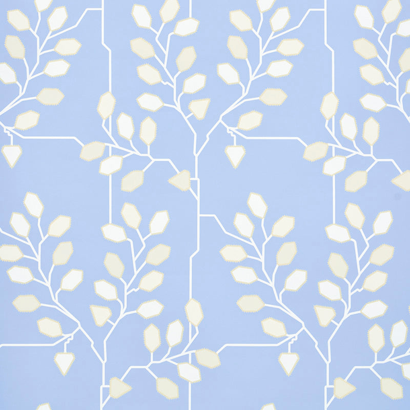 Tumble weed | Bluebell