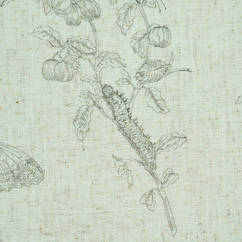 Baudin butterfly linen | Black