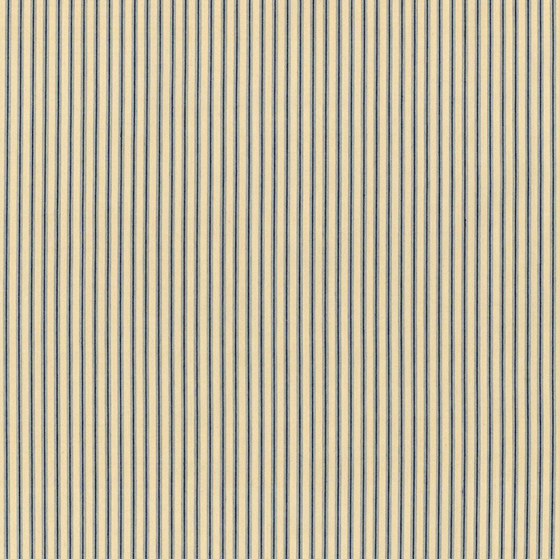Wellfleet ticking | Chambray