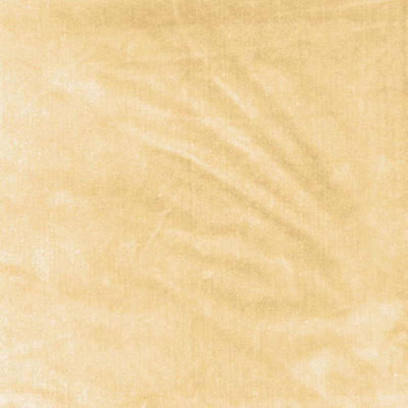 Venetian silk velvet | Champagne