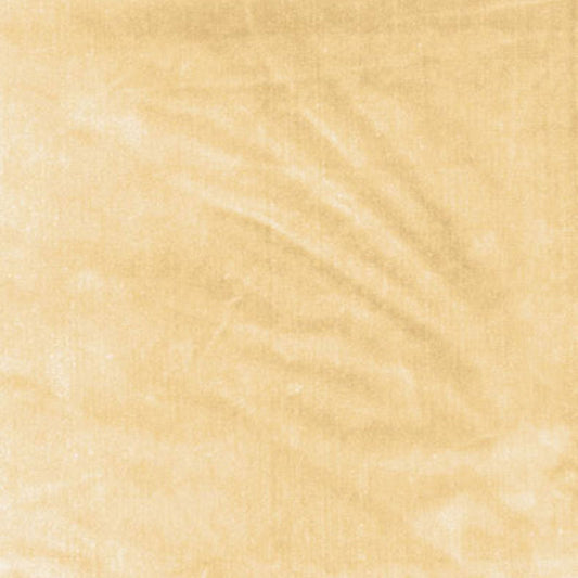 Venetian silk velvet | Champagne