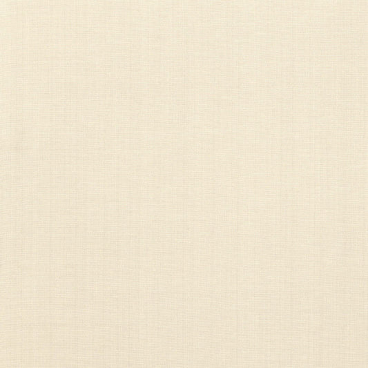 Avery cotton plain | Ivory