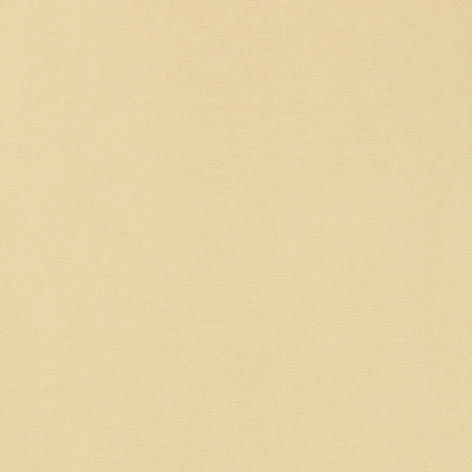 Tiepolo shantung weave | Bone