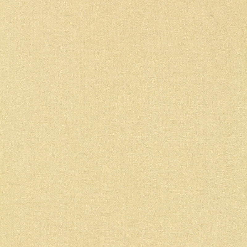 Tiepolo shantung weave | Ivory