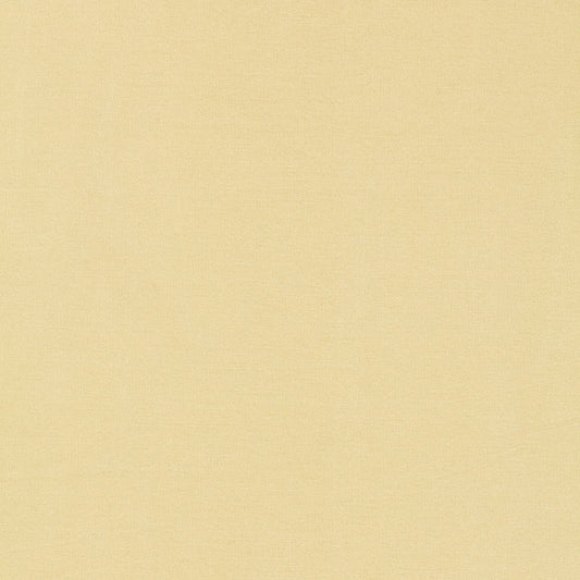 Tiepolo shantung weave | Ivory