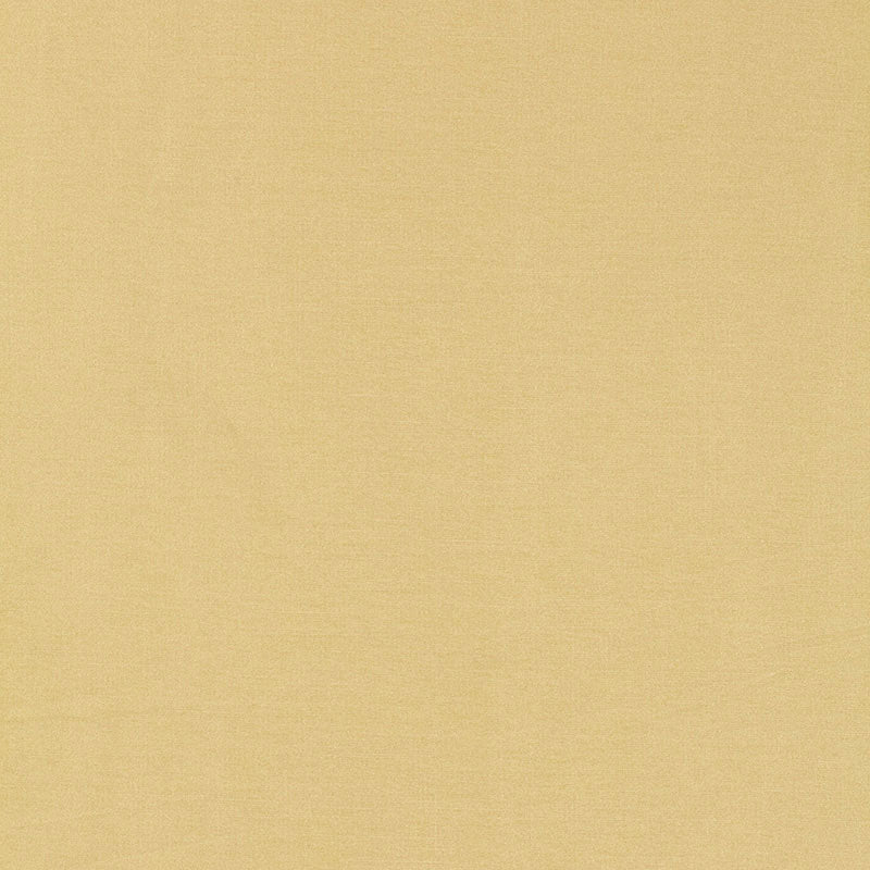 Tiepolo shantung weave | Champagne