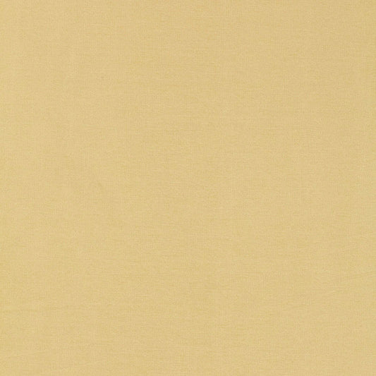 Tiepolo shantung weave | Champagne