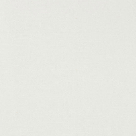 Tiepolo shantung weave | Snow